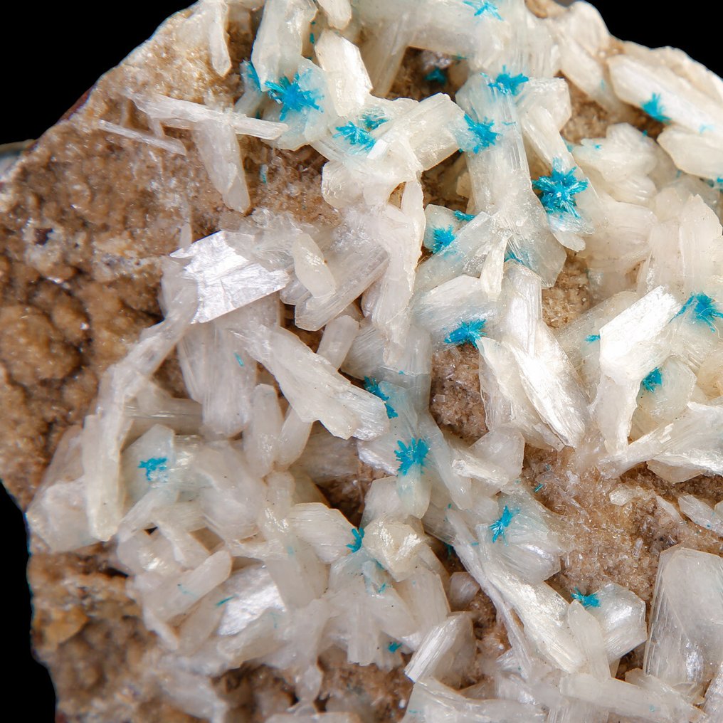 Blue cavansite crystals on stilbite. Rare Cavansite and Stilbite – India - Height: 130 mm - Width: 80 mm- 365 g #1.0