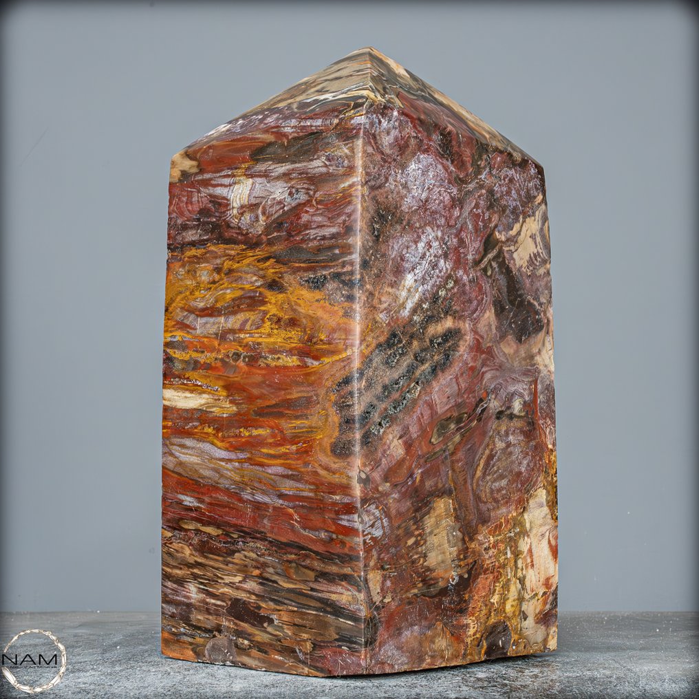 Obeliscul din lemn fosilizat natural Model rar- 7517.18 g #1.0