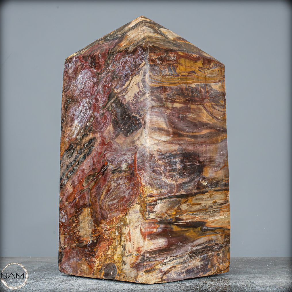 Obeliscul din lemn fosilizat natural Model rar- 7517.18 g #2.1