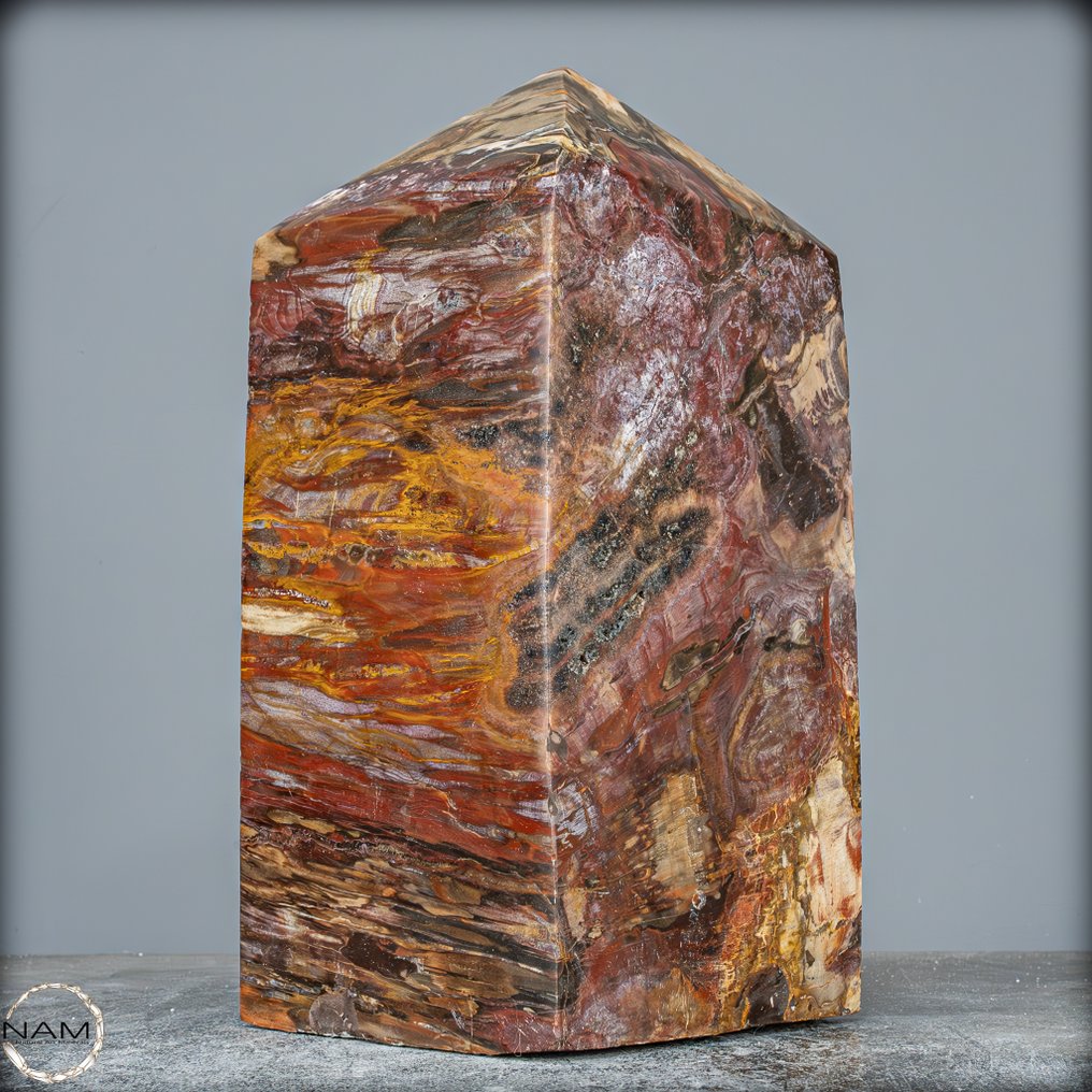 Obeliscul din lemn fosilizat natural Model rar- 7517.18 g #4.3