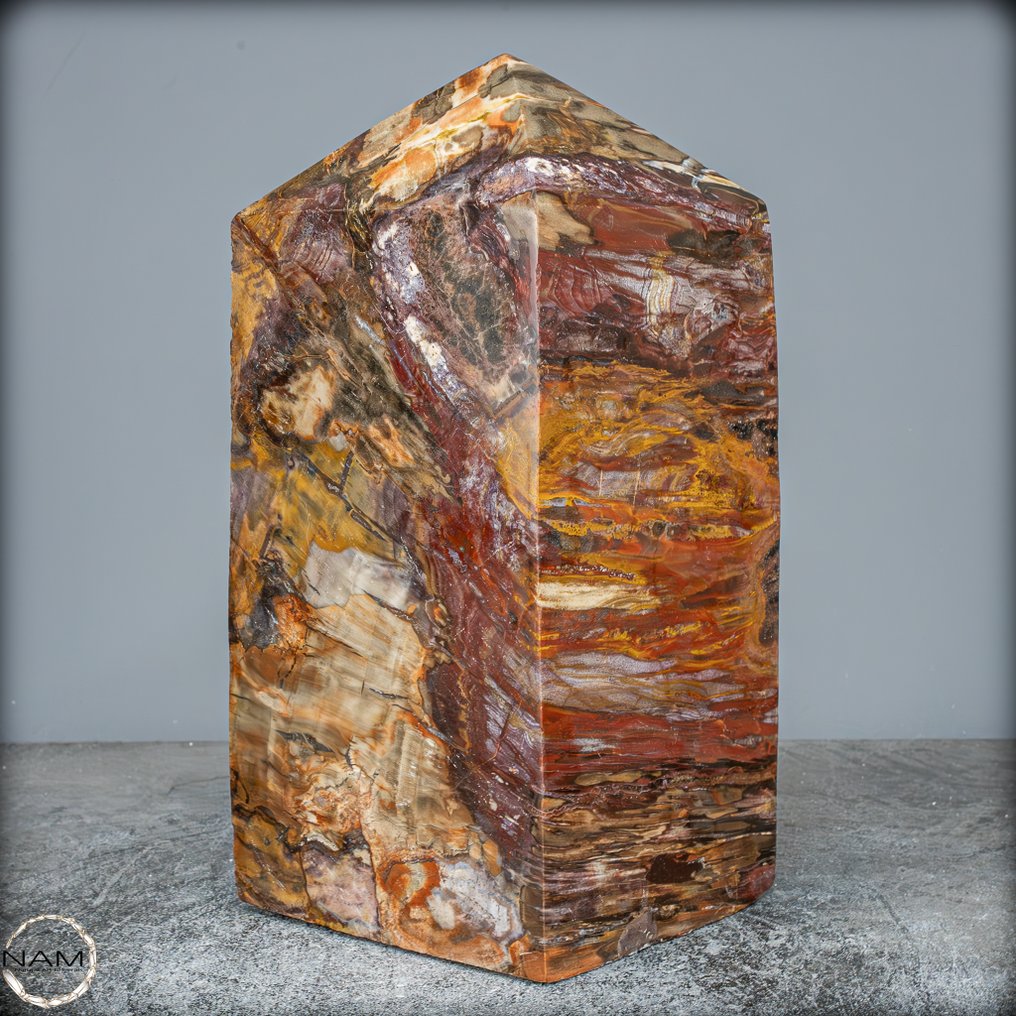 Obeliscul din lemn fosilizat natural Model rar- 7517.18 g #1.0