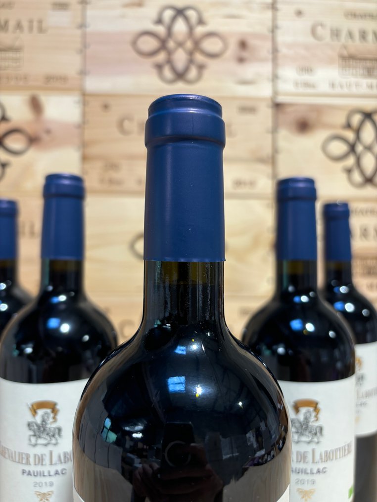 2019 Château Chevalier de Labottiere - Pauillac Grand Cru - 6 Bottles (0.75L) #4.3