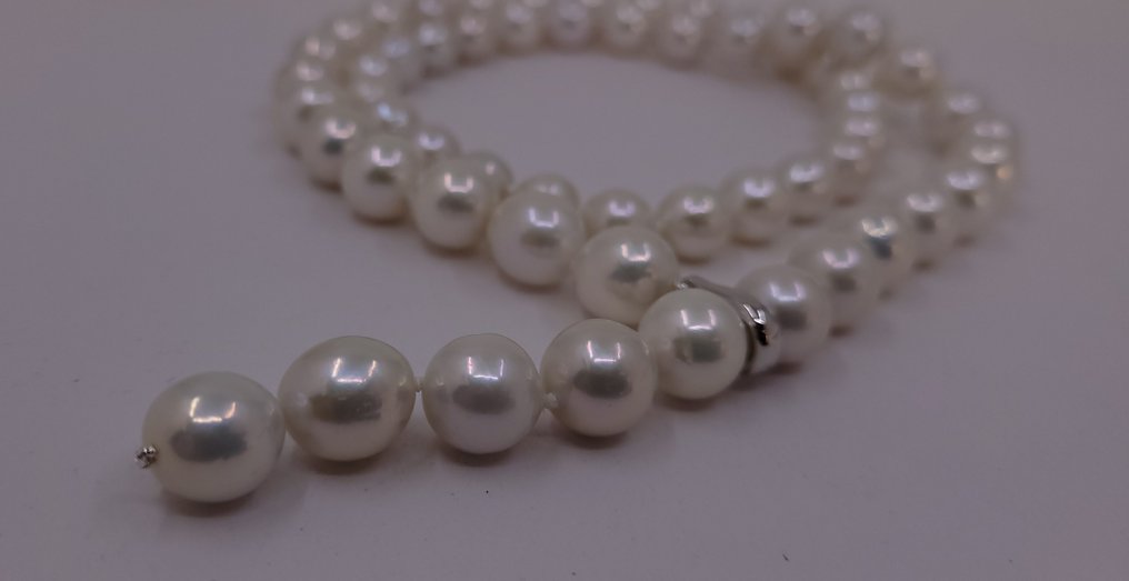 Senza prezzo di riserva - Collana Argento - Perle Edison da 9x11,5 mm #3.2