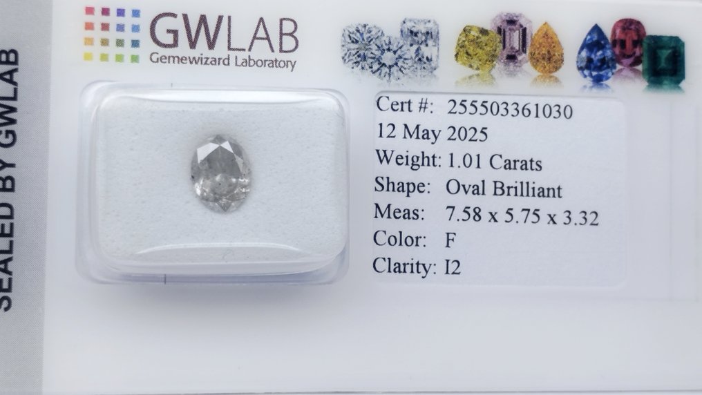 Senza prezzo di riserva - 1 pcs Diamante (Naturale) - 1.01 ct - Ovale - F - I2 - Gemewizard Gemological Laboratory (GWLab) #2.1