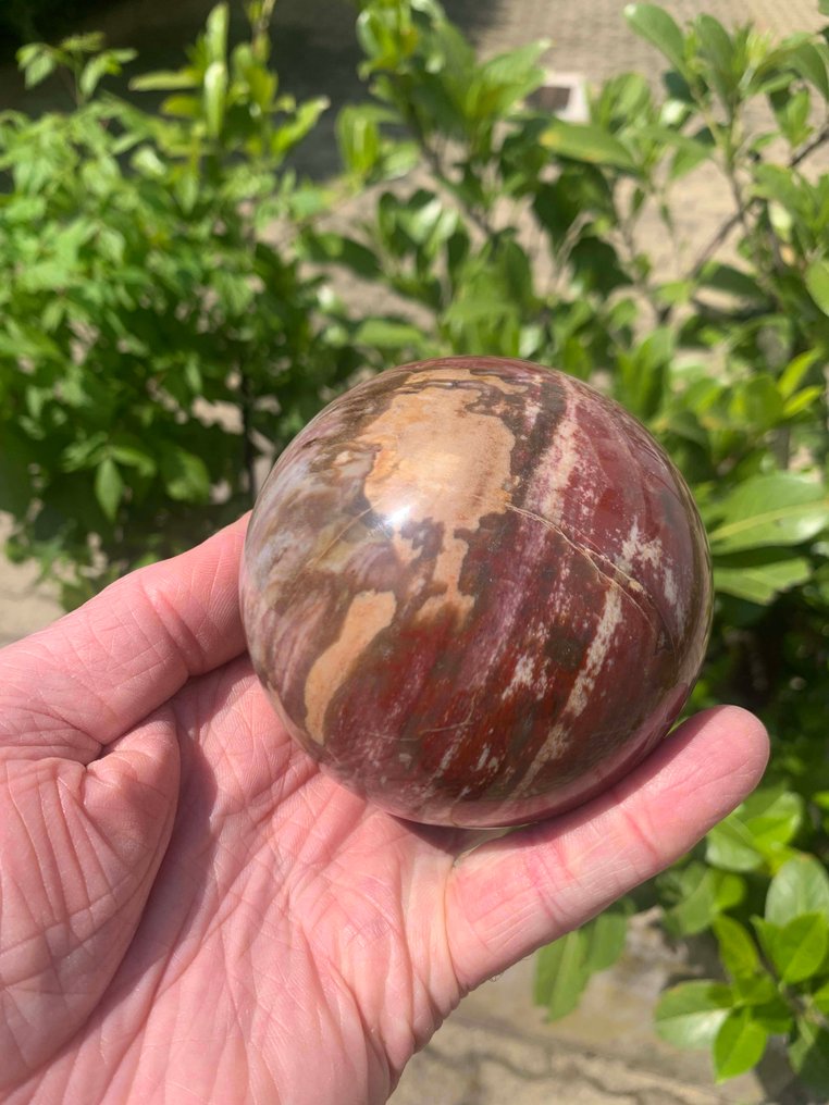 Forstenet træ Sfære - Højde: 8.4 cm- 815 g - (1) #1.0