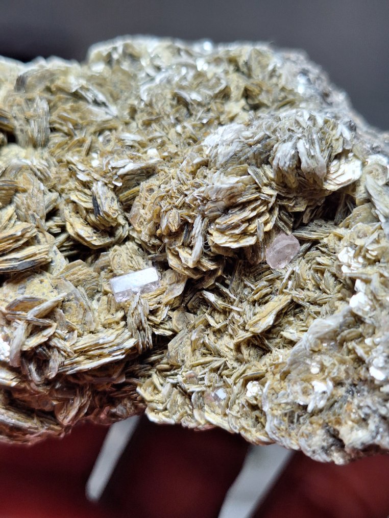 Fluorapatite on muscovite Fluorescent - Height: 9 cm - Width: 7 cm- 389 g #3.2