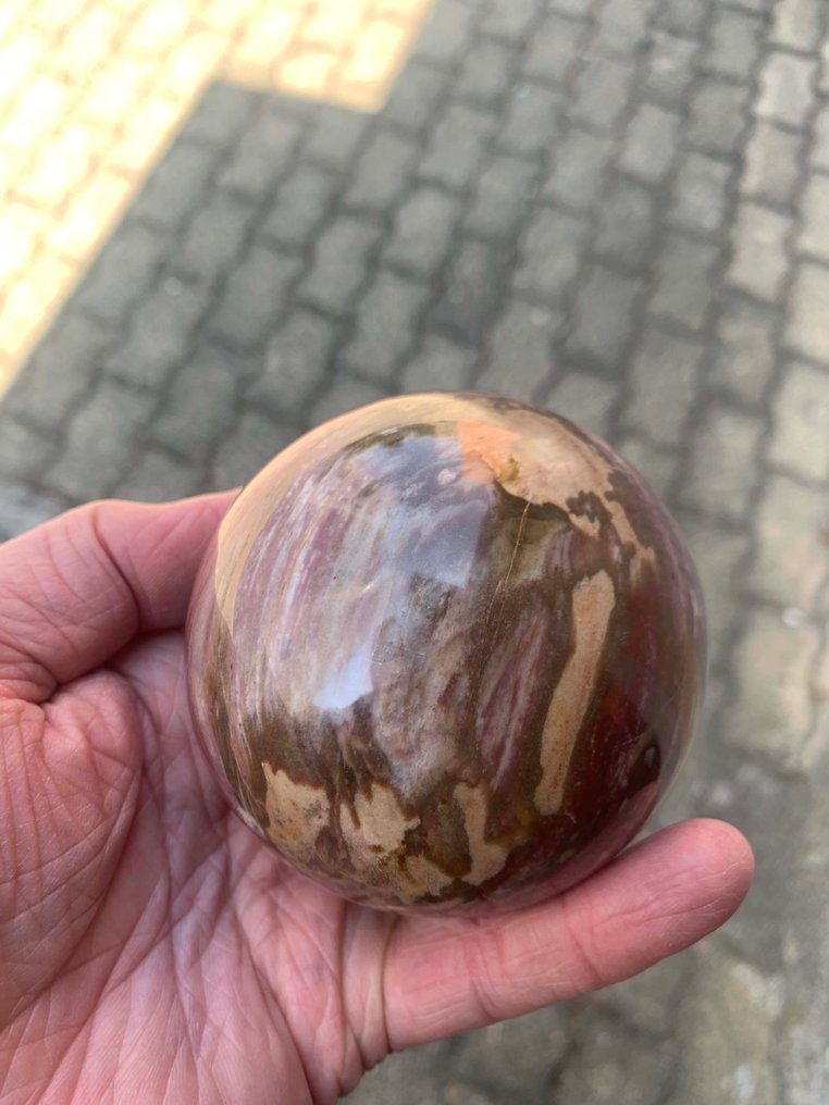 Forstenet træ Sfære - Højde: 8.4 cm- 815 g - (1) #1.0