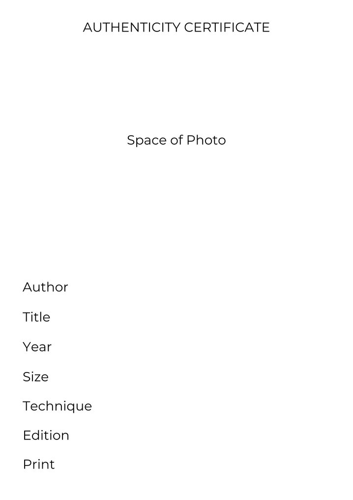 Ivana Noto - Pelle #1.0