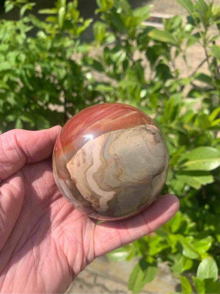 Forstenet træ Sfære - Højde: 7.8 cm- 645 g - (1) #1.0