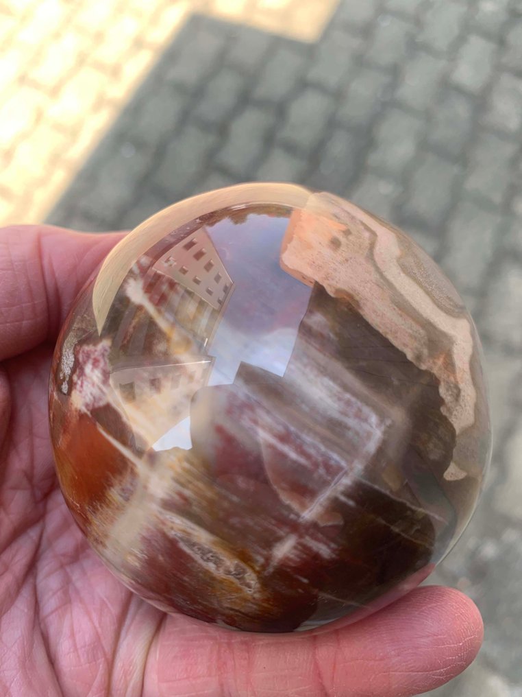 Forstenet træ Sfære - Højde: 7.8 cm- 645 g - (1) #1.0