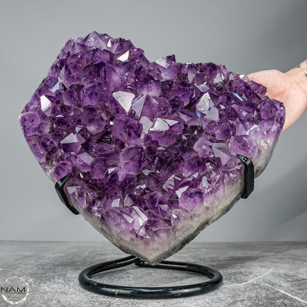 Fantastiske ametyst-Druser på stativ. Anahi Mines, Bolivia- 9017.81 g #1.0