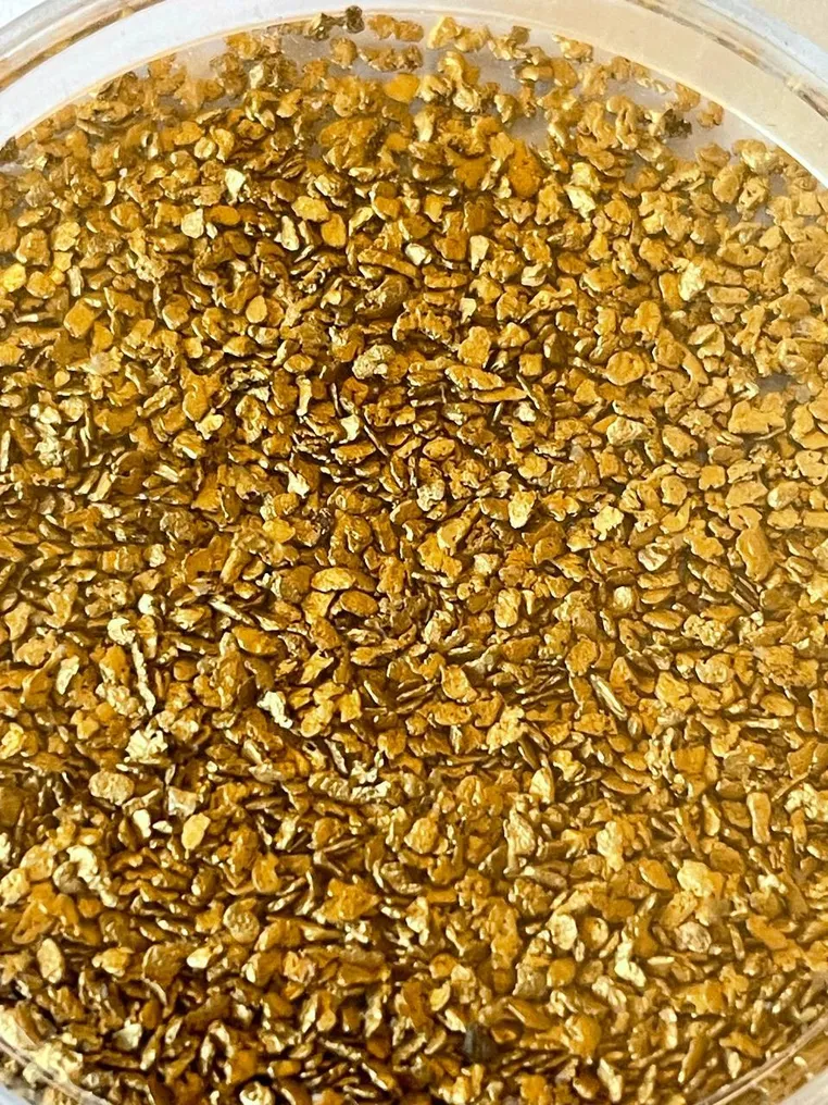 Gold Nugget- 0.41 g #2.1