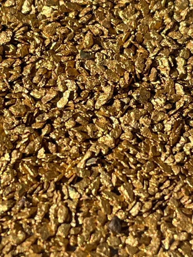 Gold Nugget- 0.41 g #1.0