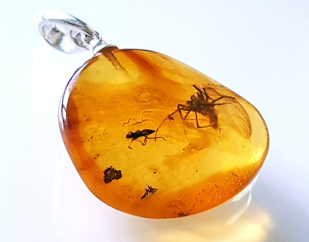 非常罕见的天然波罗的海琥珀吊坠，内含大蜘蛛化石昆虫标本——美丽的博物馆藏品 - 琥珀 #2.1