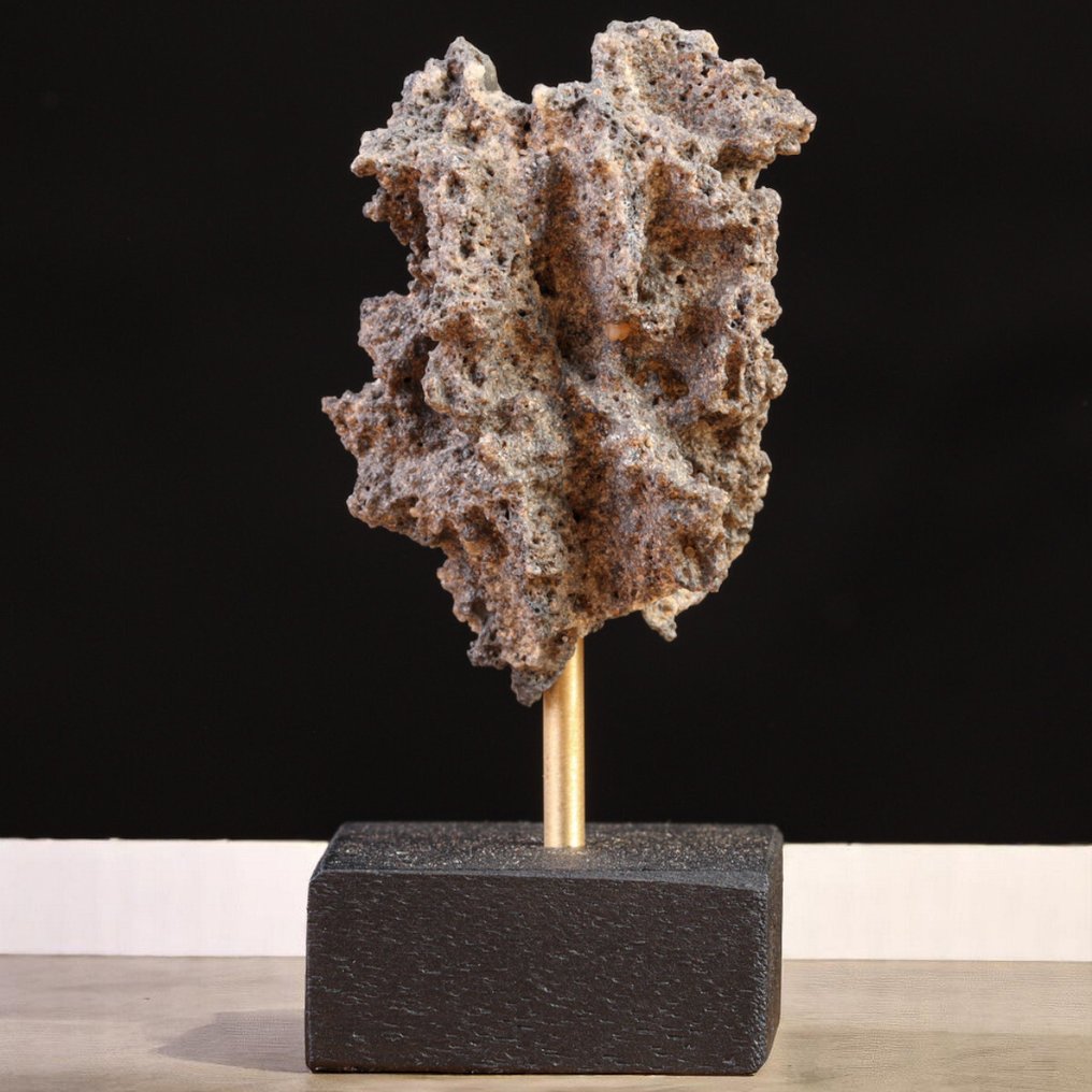 Rare lightning. Energy released by a lightning bolt. - Height: 85 mm - Width: 50 mm- 50 g #3.2