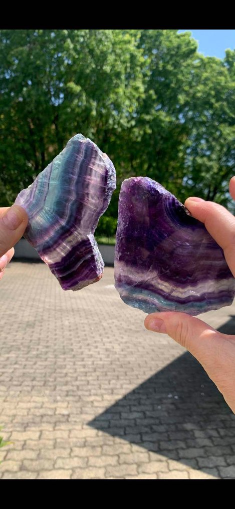 Tranche - Hauteur : 10 cm - Largeur : 9 cm- 420 g - (2) #1.0