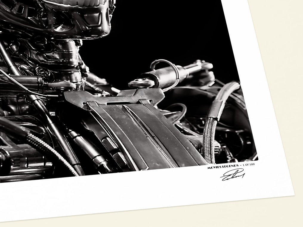 THE TERMINATOR - Memories Collection - Luxury XXXL Photography - ! 80x60 cm ! - Limited Edition Nr 13 of 100 - Serial ML10119 - New items #2.1
