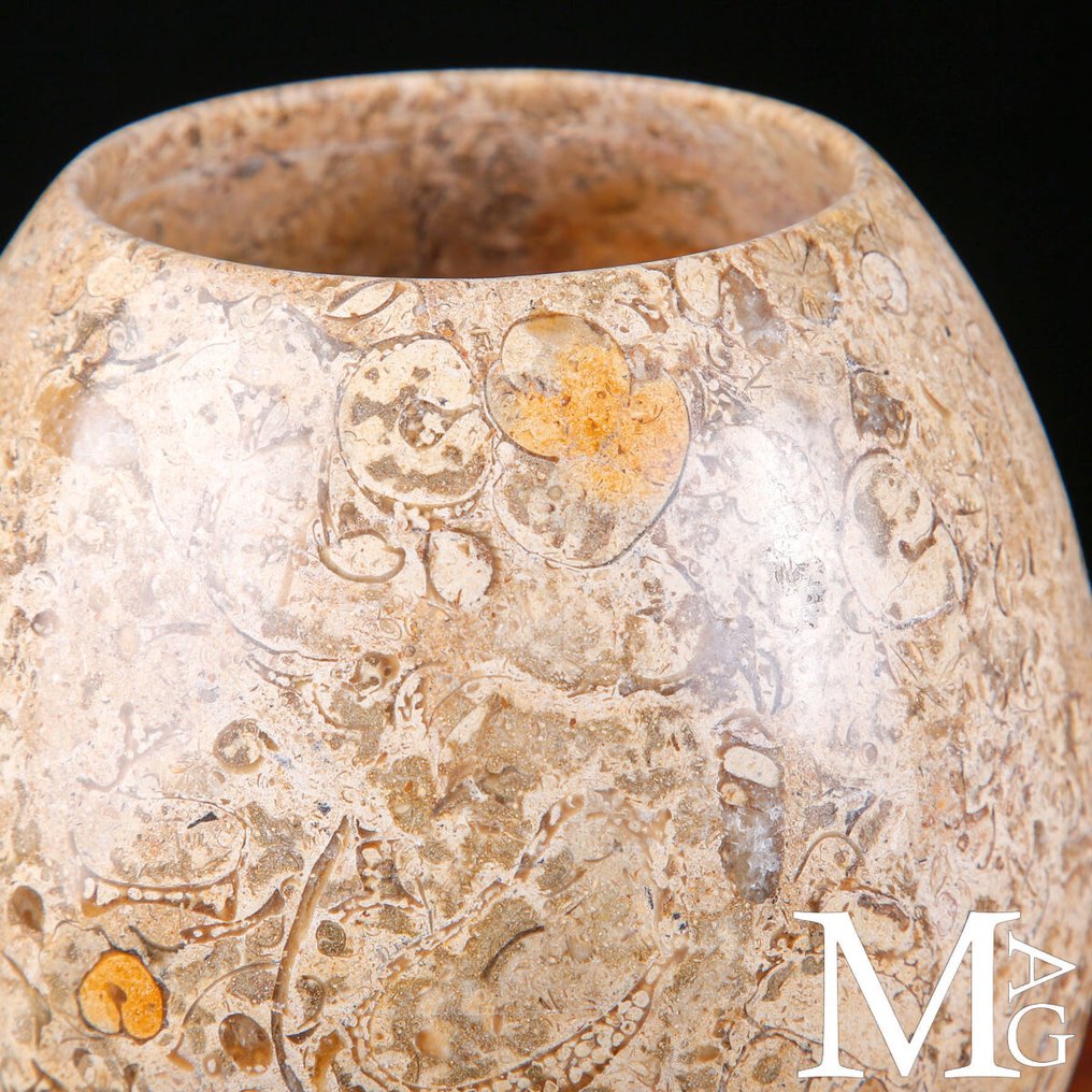 Fossiles Sediment Großes ornamentales Glas aus fossilem Marmor. - Höhe: 210 mm - Breite: 140 mm- 1448 g #3.2