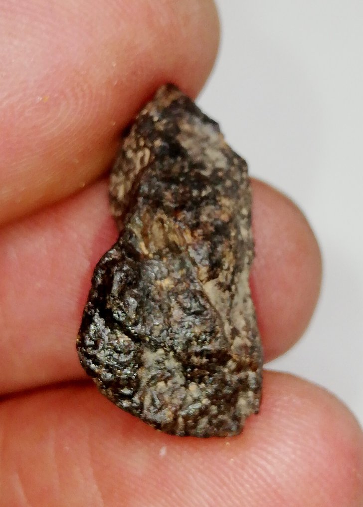RAFSA 005 Angrit, nagyon ritka achondrita. Teljes szelet. Végszelet. Akondrit meteorit - 2.78 g #1.0