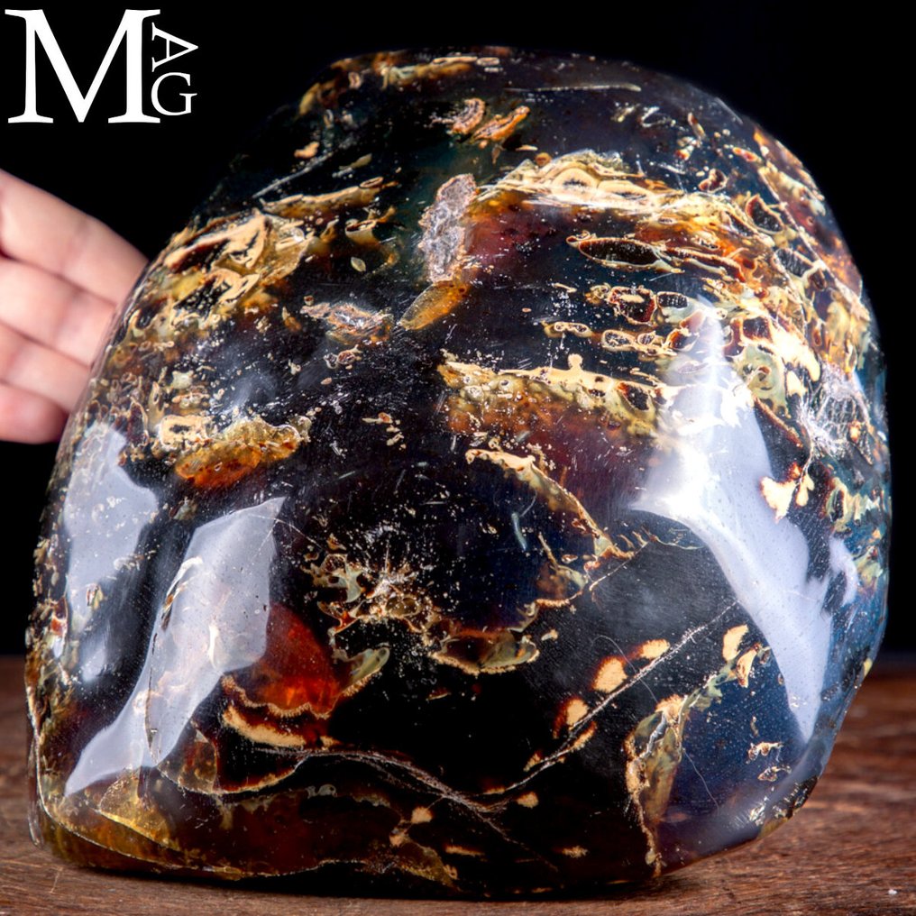 Amostra gigante rara com contrastes de cores extraordinários Grande Espécime de Âmbar Fóssil de Sumatra - Altura: 220 mm - Largura: 210 mm- 3202 g #1.0