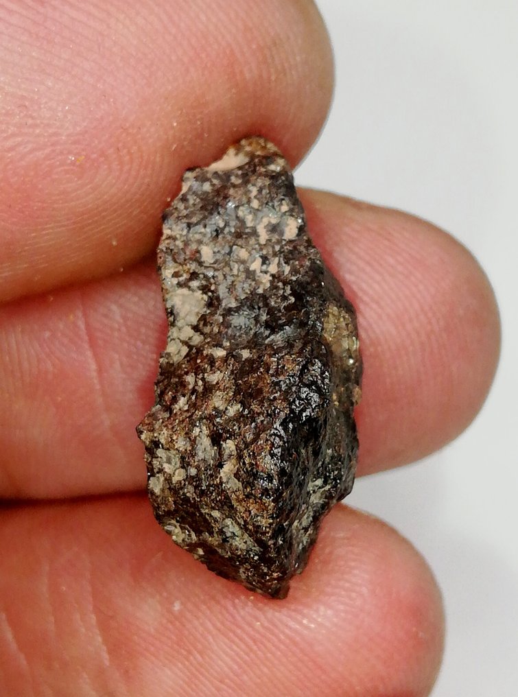 RAFSA 005 Angrit, nagyon ritka achondrita. Teljes szelet. Végszelet. Akondrit meteorit - 2.78 g #1.0