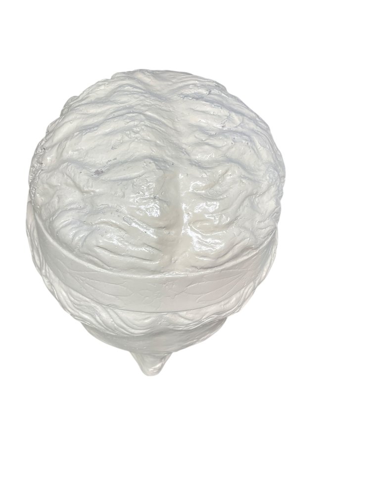 雕塑, Testa di afrodite - 29 cm - 蜡 #4.3