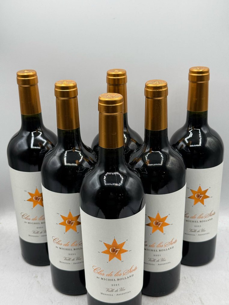 2021 Clos de Los Siete Michel Rolland - Mendoza - 6 Bottiglie (0,75 L) #3.2