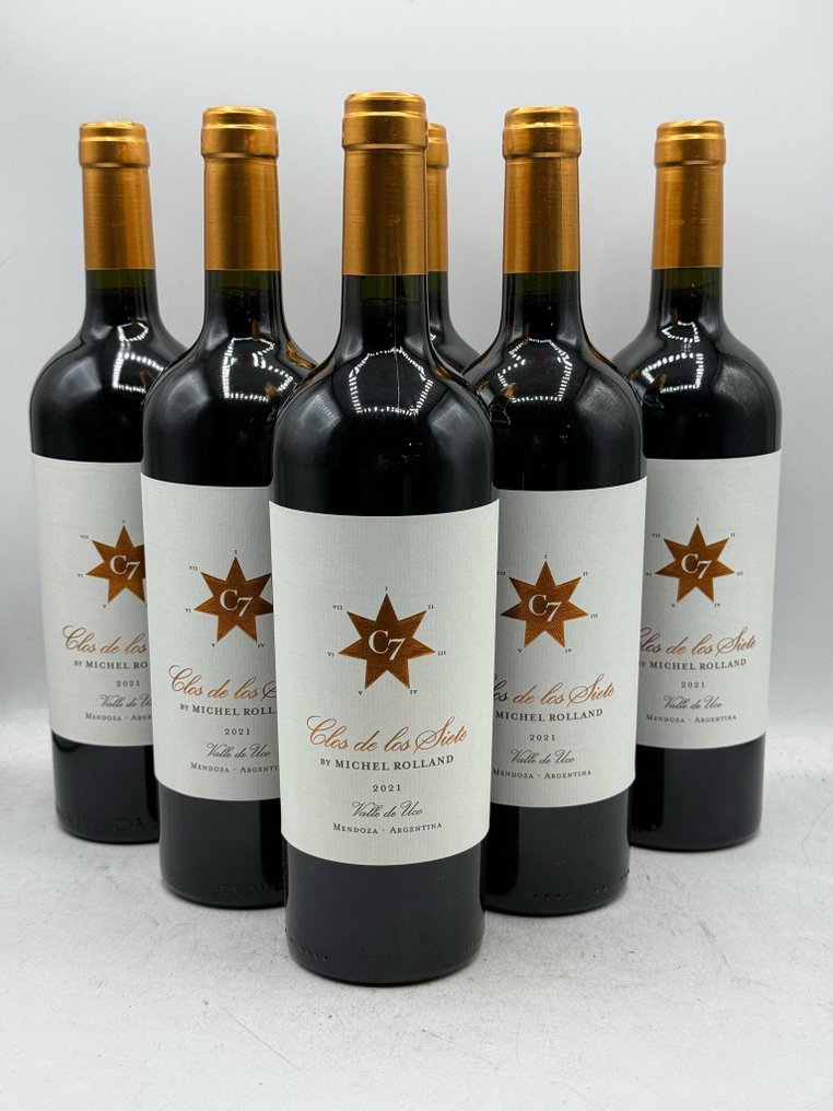 2021 Clos de Los Siete Michel Rolland - Mendoza - 6 Bottiglie (0,75 L) #1.0