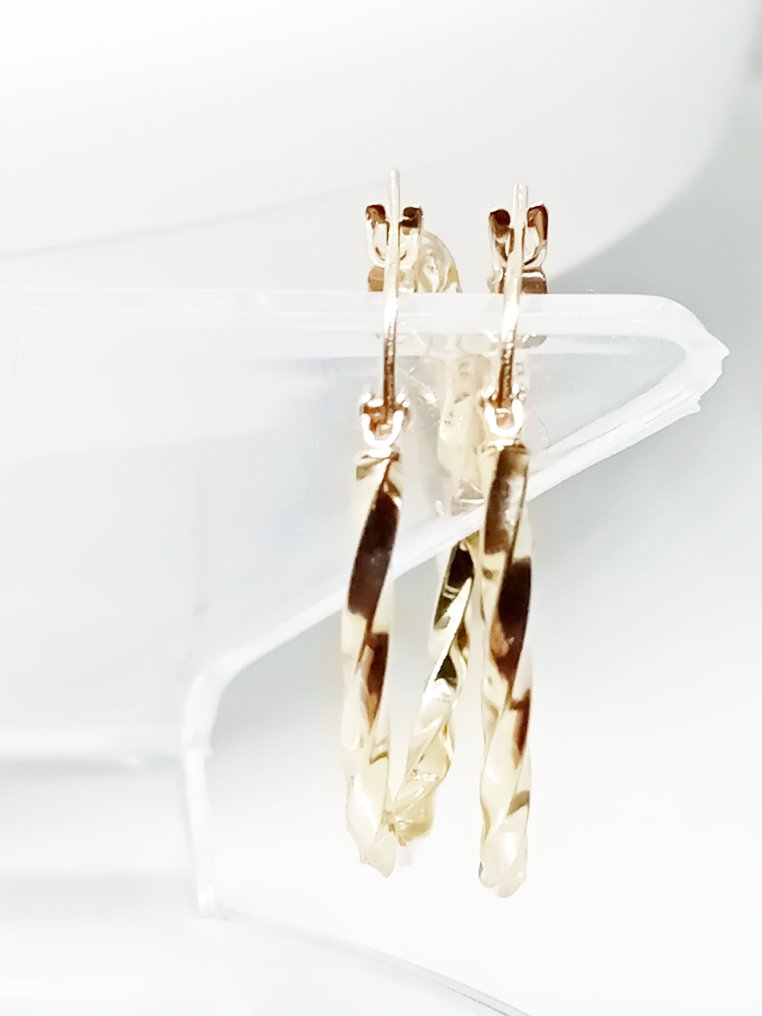 Ingen reservasjonspris - Øredobber - 18 karat Gull #1.0