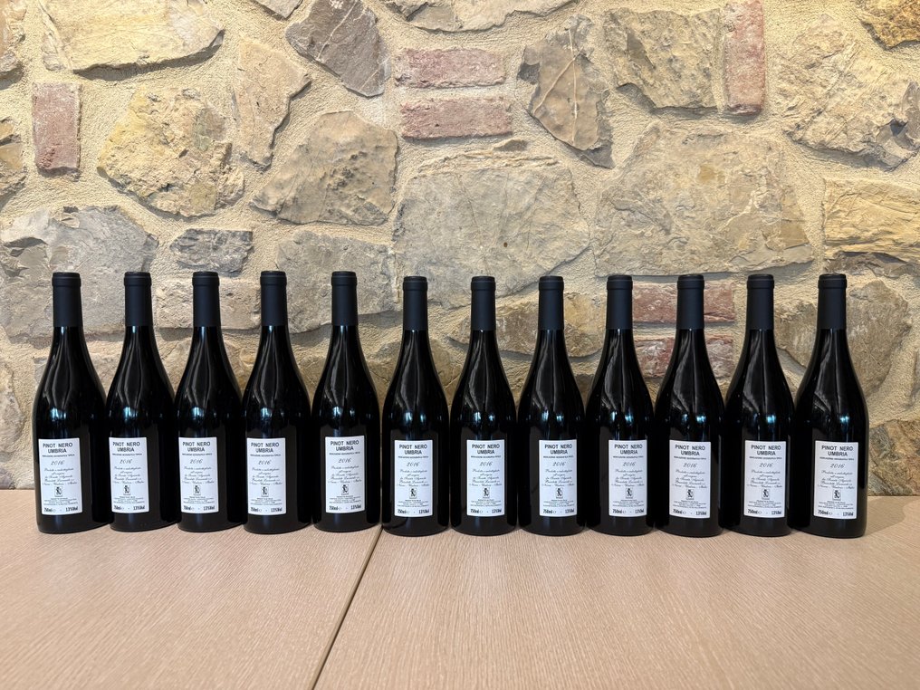2016 Leonardo Bussoletti, Pinot Nero - Umbria - 12 Bottles (0.75L) #1.0