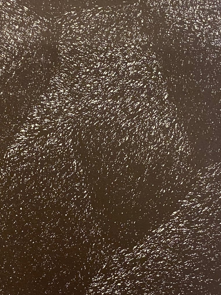 Raoul Ubac (1910-1985) - Silex 1 #4.3