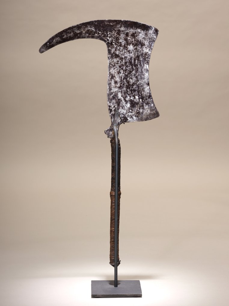 货币对象“曼志”——巴纳/法利/卡普西基/马尔吉，尼日利亚——铁——高50.5厘米 - Kapsiki - 尼日利亚 #4.3