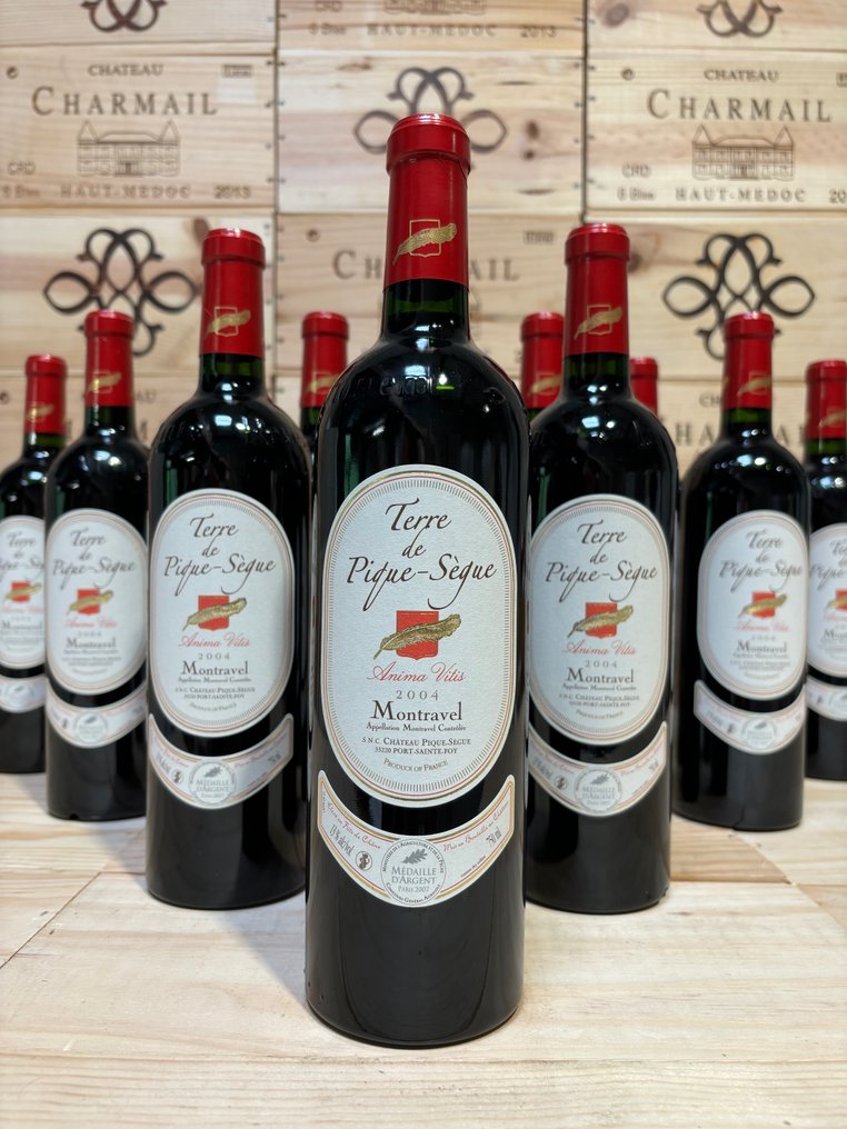 2004 Château Terre de Pique-Sègue Anima Vitis - montravel - 12 Flaskor (0,75L) #2.1