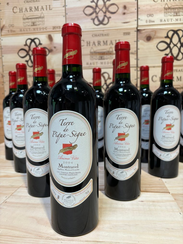 2004 Château Terre de Pique-Sègue Anima Vitis - montravel - 12 Flaskor (0,75L) #3.2