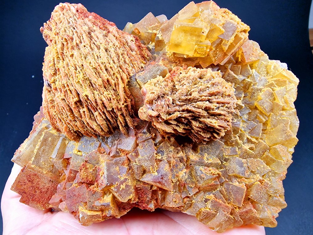 Fluorite Baryte di alta qualità - Altezza: 130 mm - Larghezza: 100 mm- 764 g - (1) #1.0