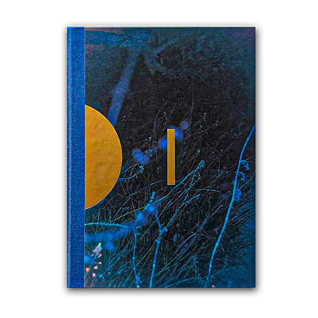 Signed, Paul Cupido - Drifting Stones - 2025 #1.0