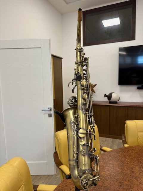 Ida Maria Grassi - Acas300 Br Academy -  - Alto saxophone #1.0