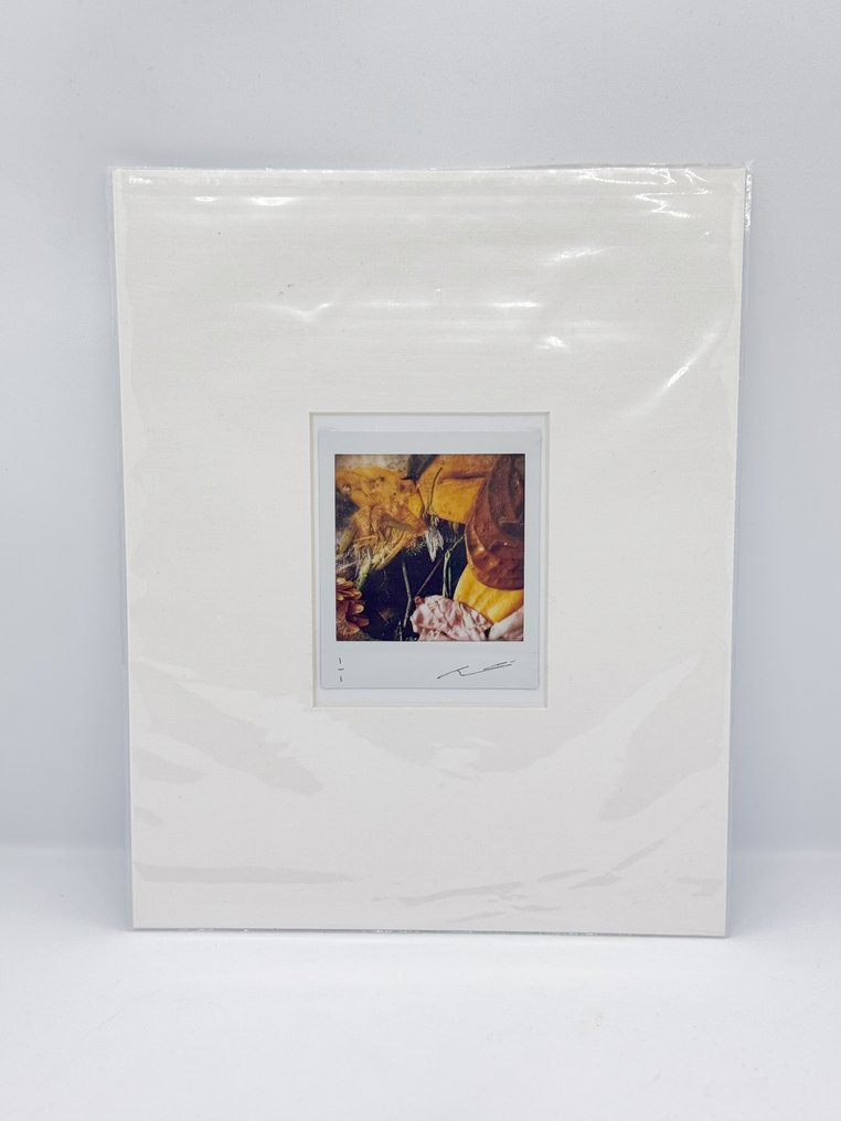 Benjamin Martin - Unique Print – “Lost & Found” Series #1.0