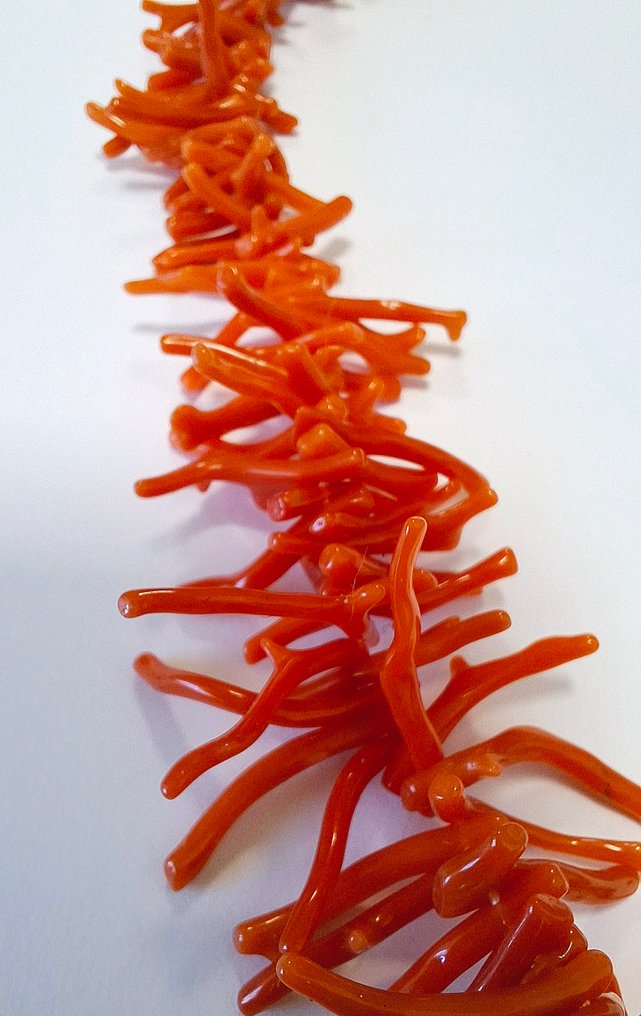 Coral - 18 quilates - Oro amarillo - Collar #4.3