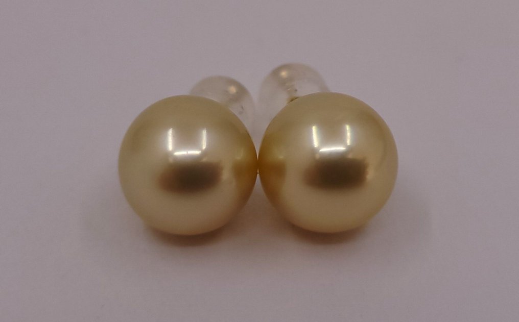耳環 - 14 克拉 黃金 - 10x11毫米南海珍珠 #2.1