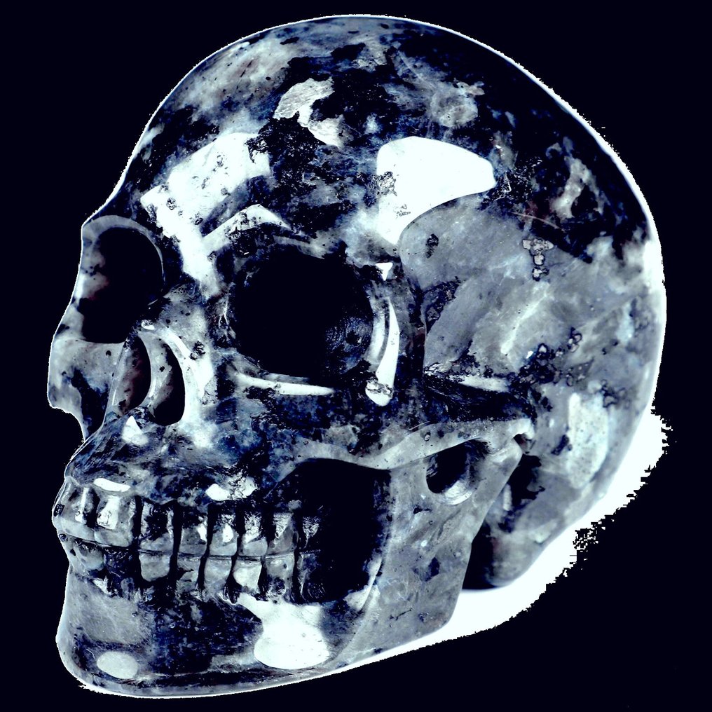 486 克 8.80 x 7.00 厘米 Larvikite 北极光 头骨 Plutonit Heimdalls 剑 最精致的Larvikite魔法骷髅Plutonite——哥特艺术品，宛如由Mithril制成- 486 g #1.0