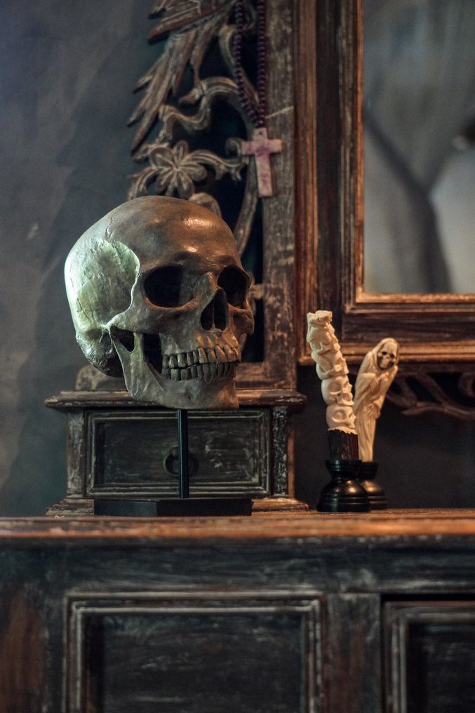 Χωρίς τιμή ελάχιστου ορίου - Αντίγραφο ανθρώπινου κρανίου σε προσαρμοσμένο βάθρο - Ποιότητα Μουσείου Κρανίο - Cranium - 26 cm - 13 cm - 18 cm #1.0