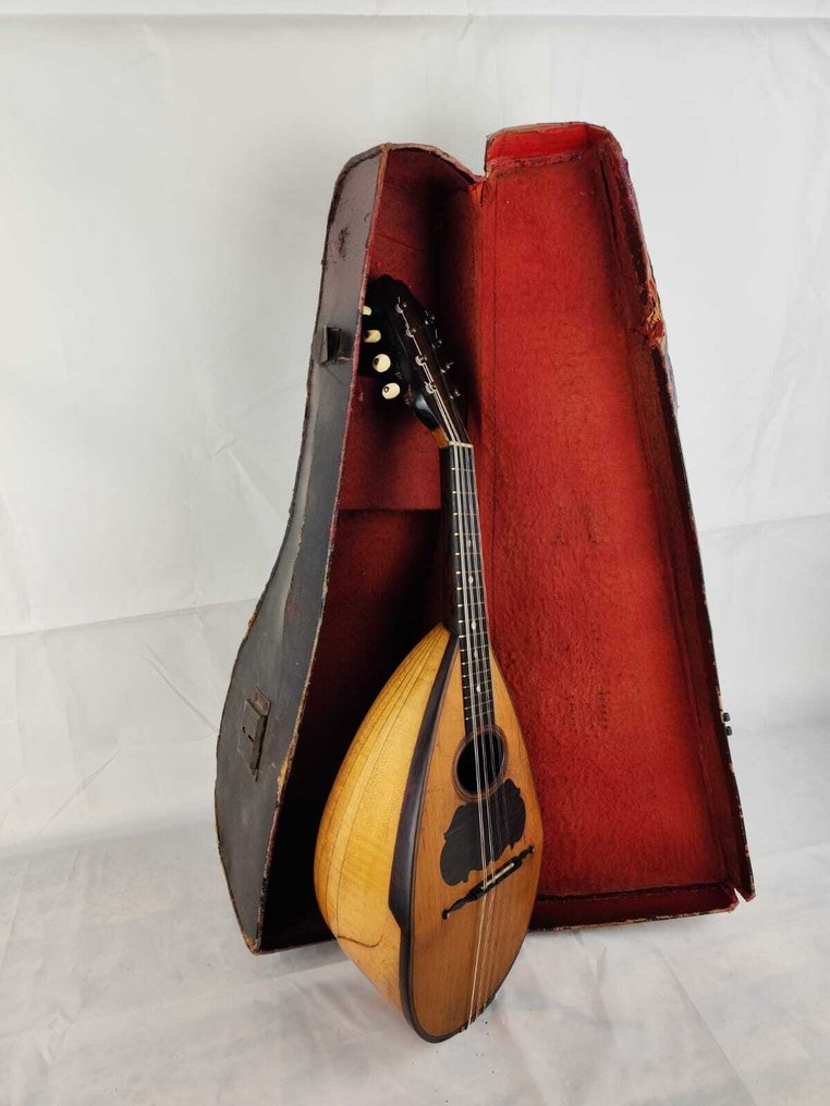 Vinaccia Gennaro e Achille - Napoletano -  - Mandolin - Olaszország - 1890 #1.0