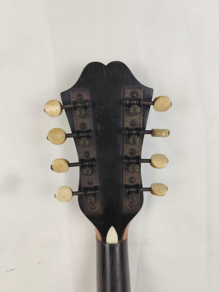 Vinaccia Gennaro e Achille - Napoletano -  - Mandolin - Olaszország - 1890 #4.3