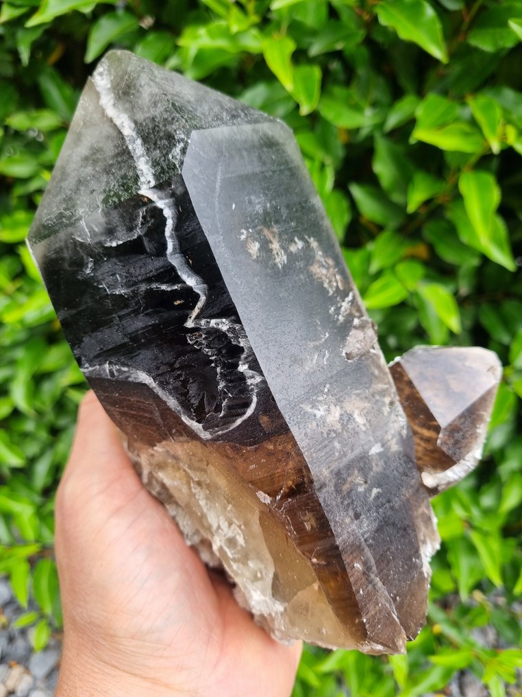 High Quality Smokey Quartz Cluster - Height: 225 mm - Width: 160 mm- 2854 g #1.0