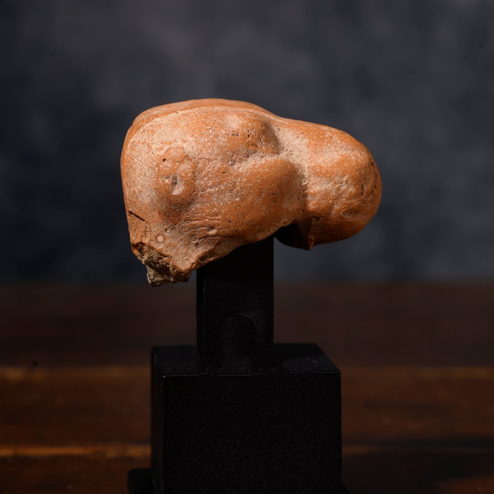 Eastern Roman Terracotta camel fragment head - 4 cm #1.0