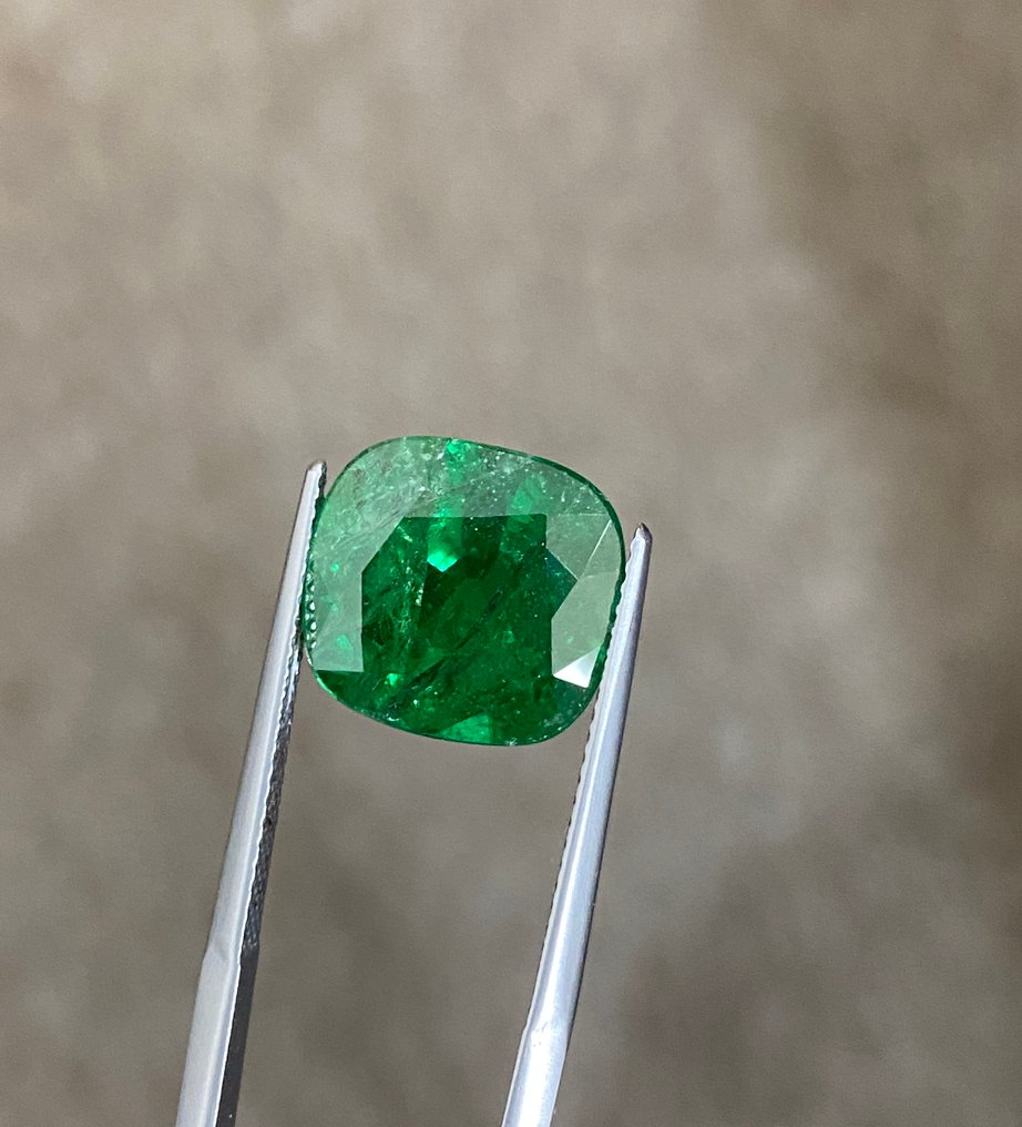 没有保留价 - 1 pcs  绿色 沙弗莱石  - 8.64 ct - 美国宝石研究院（GIA） - 绿色TSAVORITE #1.0