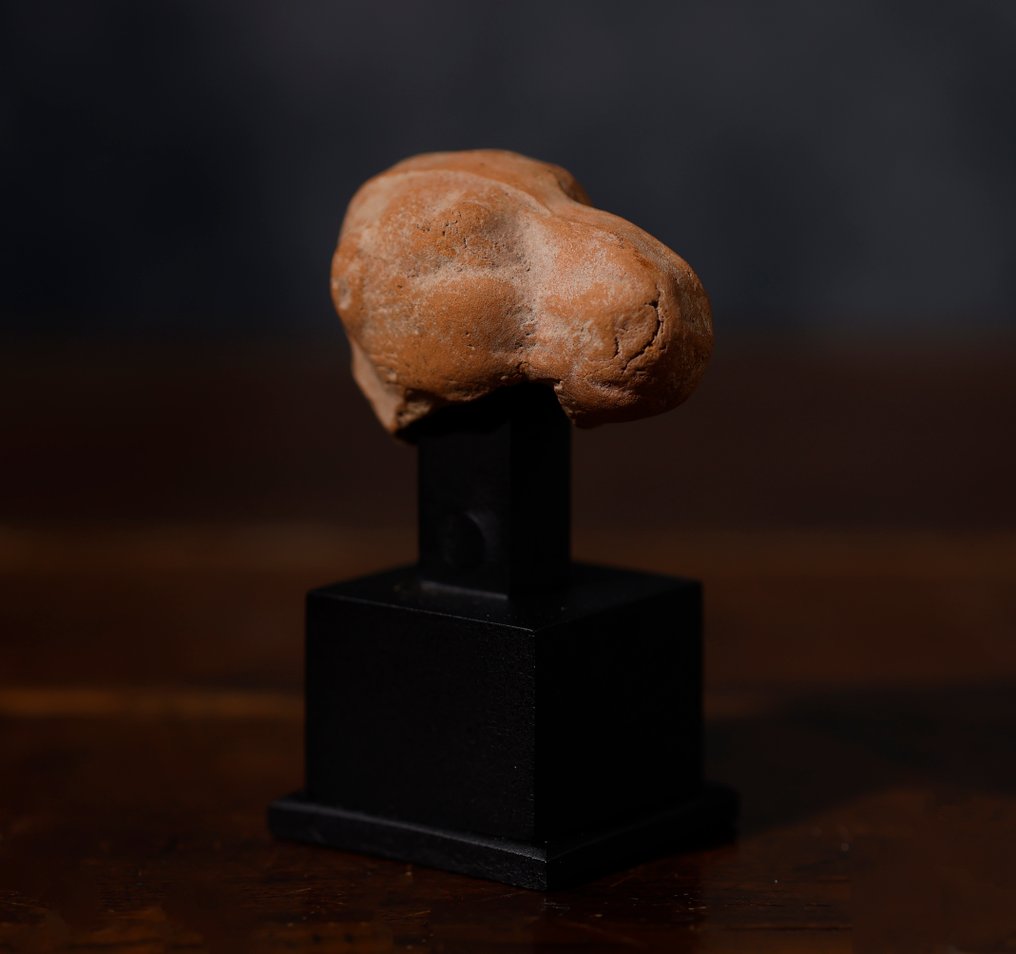 Eastern Roman Terracotta camel fragment head - 4 cm #1.0