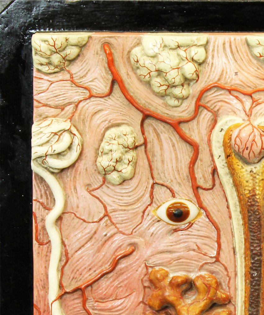 Daniel Spoerri (1930) - Volto #3.2