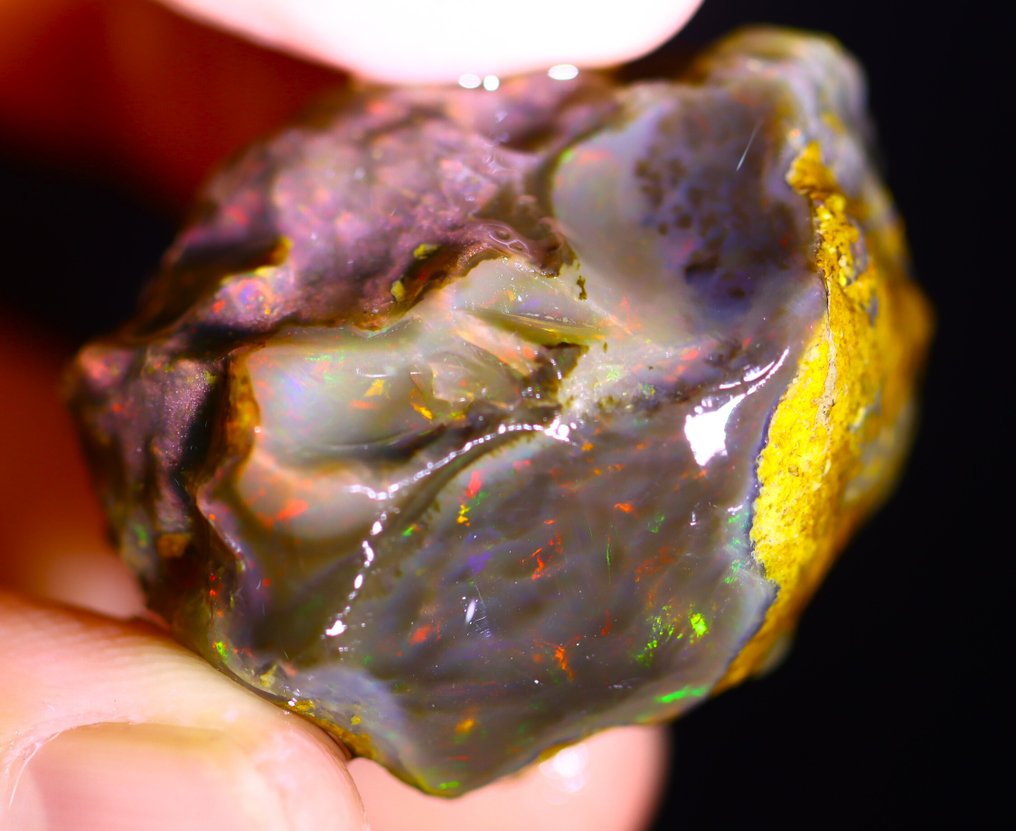 97,9 ct - Φυσικός Μαύρος Οπαλός Σκληρό - Δείτε το βίντεο!- 19.58 g #1.0